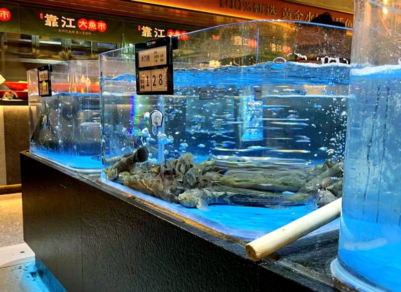 荊州龍魚店|五一暢游荊州海洋世界龍魚養殖場荊州海洋世界龍魚特展