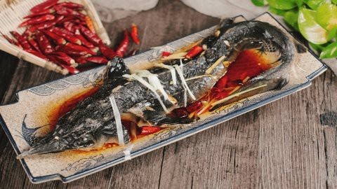 鱘龍魚有哪些營(yíng)養(yǎng)價(jià)值？|主任醫(yī)師三甲鱘魚的功效與作用有哪些