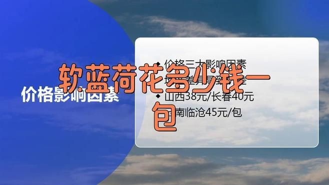 荷花煙多少錢一包|2025年8月最新市場行情分析:軟硬荷花多少錢一包 龍魚論壇 第5張 荷花煙多少錢一包|2025年8月最新市場行情分析:軟硬荷花多少錢一包 荷花煙多少錢一包|2025年8月最新市場行情分析:軟硬荷花多少錢一包 龍魚論壇 第5張