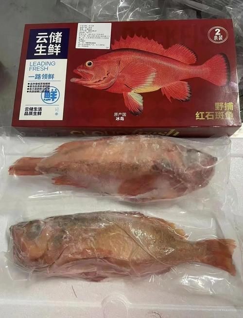 紅色的海魚有幾種圖片|《紅色的海魚有幾種圖片》
