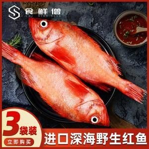 紅色的海魚有幾種圖片|《紅色的海魚有幾種圖片》