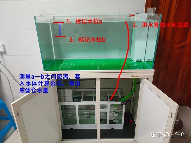 魚缸最佳水位圖|魚缸最佳水位設置的黃金法則