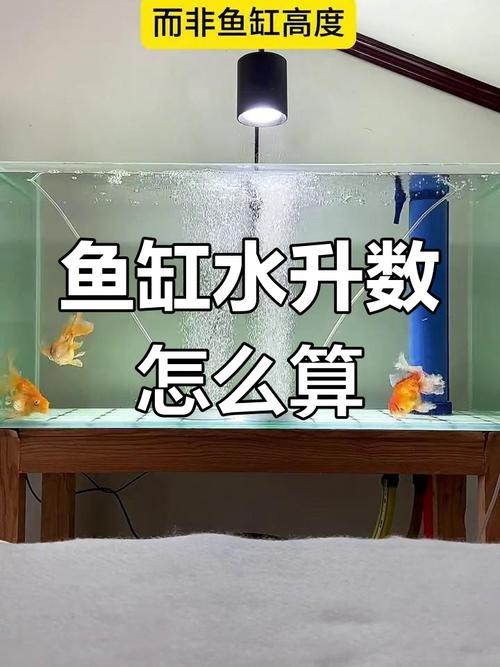 魚缸最佳水位圖|魚缸最佳水位設置的黃金法則