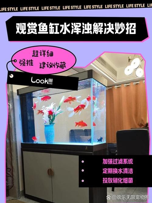 魚缸最佳水位圖|魚缸最佳水位設置的黃金法則