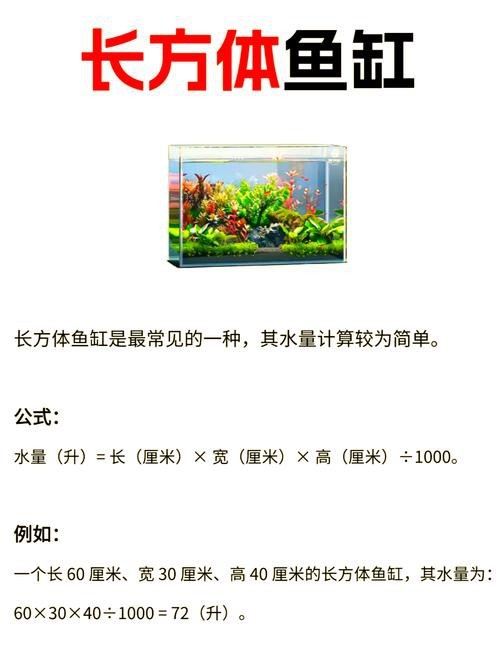 魚缸最佳水位圖|魚缸最佳水位設置的黃金法則