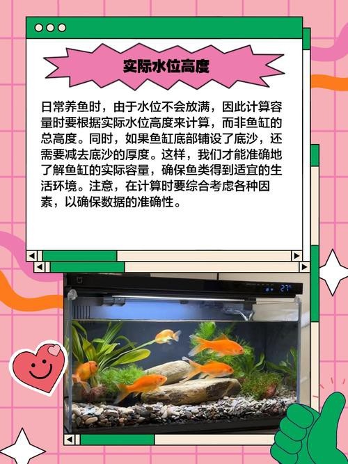 魚缸最佳水位圖|魚缸最佳水位設置的黃金法則