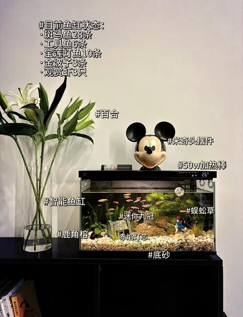 魚缸最佳水位圖|魚缸最佳水位設置的黃金法則