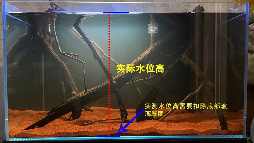 魚缸最佳水位圖|魚缸最佳水位設置的黃金法則