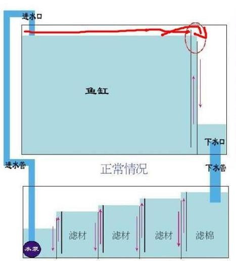 魚缸最佳水位圖|魚缸最佳水位設置的黃金法則