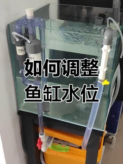 魚缸最佳水位圖|魚缸最佳水位設置的黃金法則