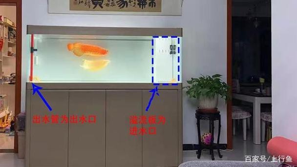 魚缸最佳水位圖|魚缸最佳水位設置的黃金法則