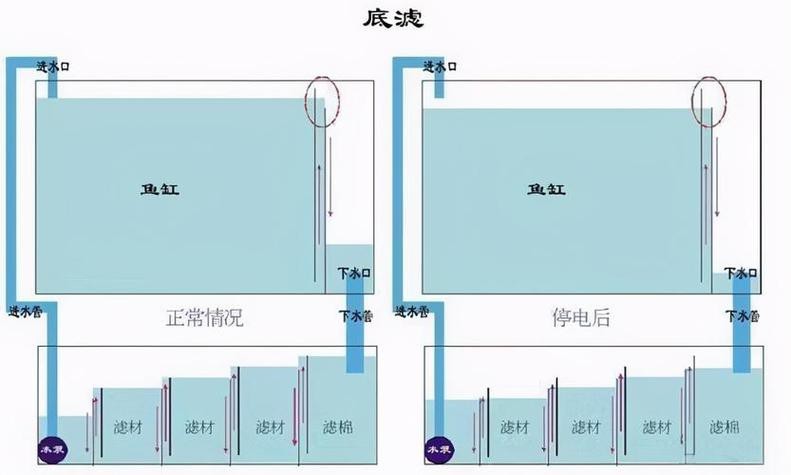 魚缸最佳水位圖|魚缸最佳水位設置的黃金法則