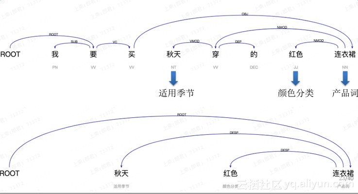 紅龍魚能長多大_
