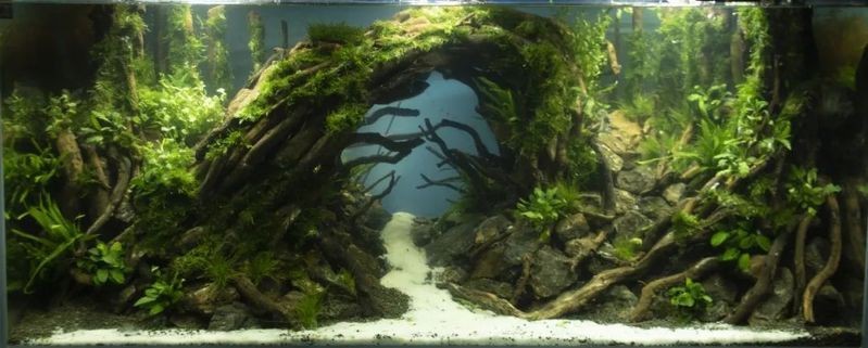 能提供更多龍魚缸造景設(shè)計(jì)效果圖嗎？|龍魚缸造景設(shè)計(jì)效果圖