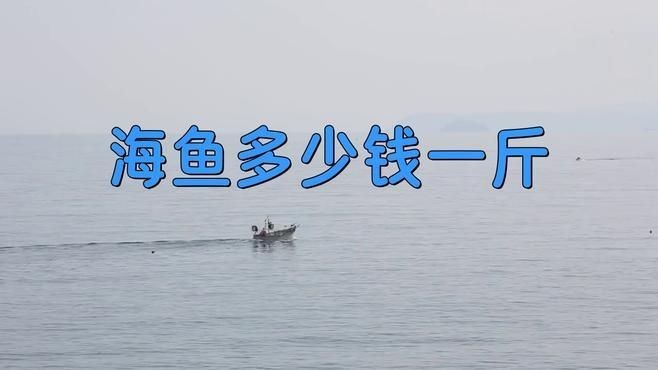海魚一般多少錢一條|海魚多少錢一斤 海魚一般多少錢一條|海魚多少錢一斤 龍魚論壇 第4張