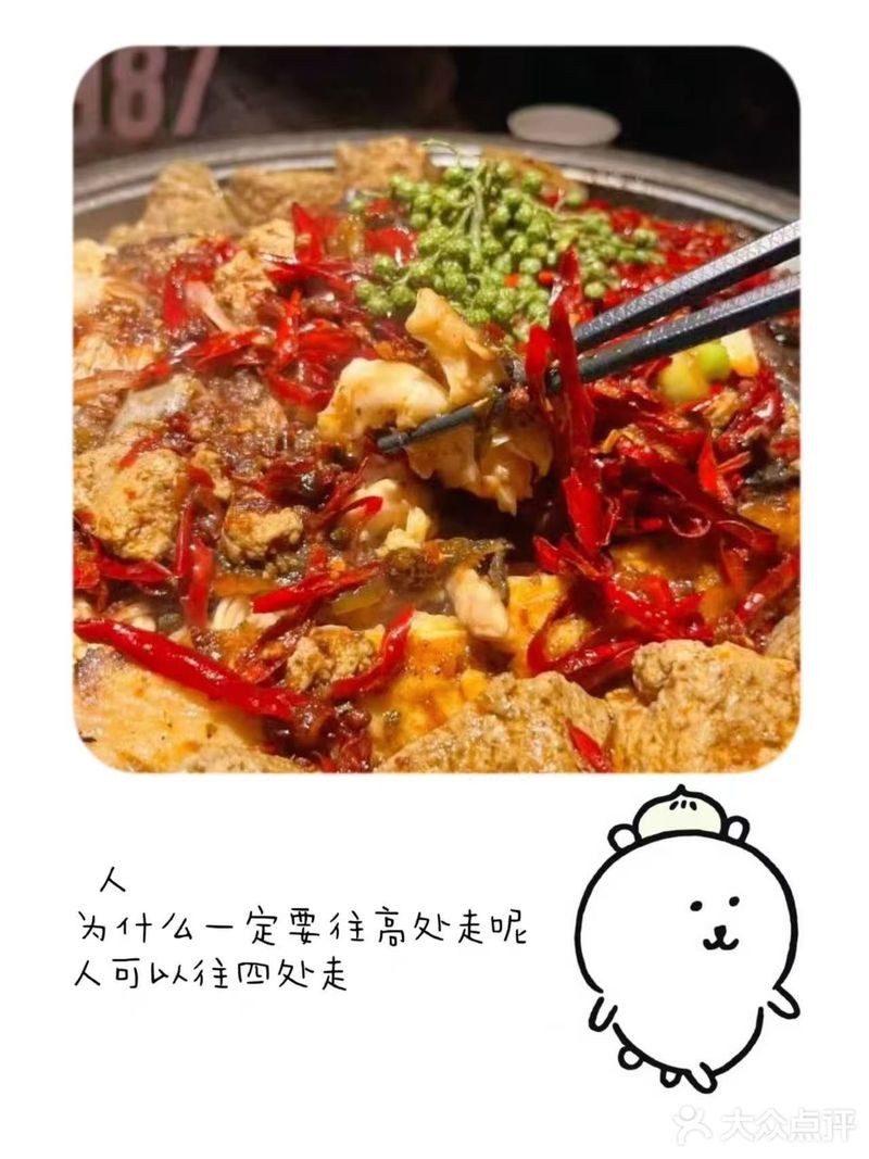 略陽龍魚店|關于略陽龍魚店的綜合信息整理