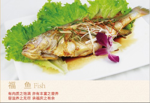 福魚是鱷雀鱔嗎|“福魚怪魚鱷雀鱔”