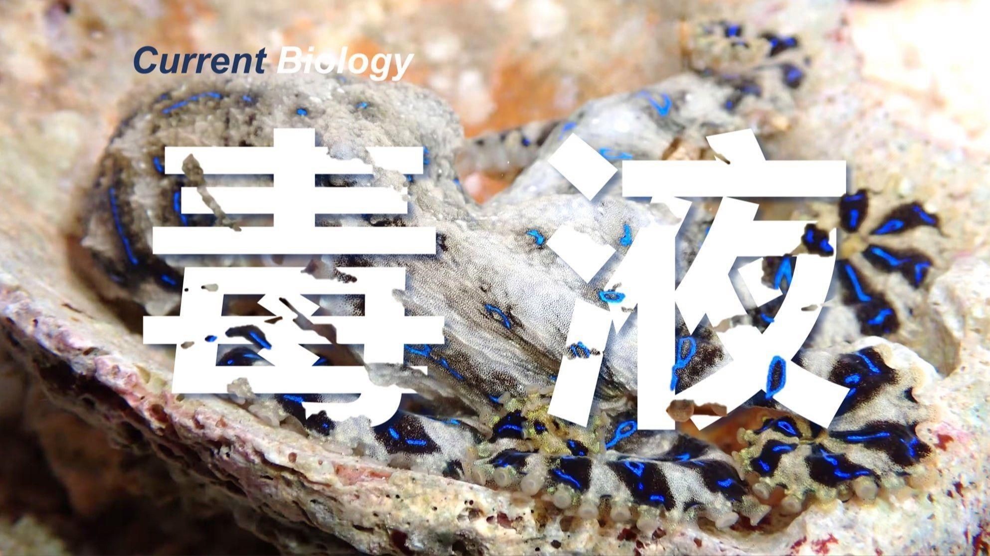 藍色的魚有哪些|《藍色的魚有哪些》本文圍繞“藍色的魚有哪些”展開介紹