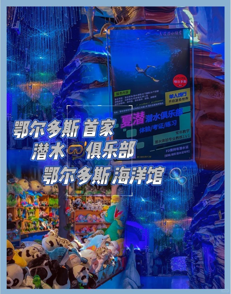 鄂爾多斯水族店|鄂爾多斯水族店分布廣泛且各具特色為當地居民提供了豐富的選擇 鄂爾多斯水族店|鄂爾多斯水族店分布廣泛且各具特色為當地居民提供了豐富的選擇 全國水族館企業名錄 第4張