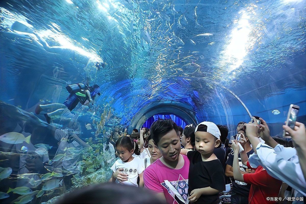 鄂爾多斯水族店|鄂爾多斯水族店分布廣泛且各具特色為當地居民提供了豐富的選擇 鄂爾多斯水族店|鄂爾多斯水族店分布廣泛且各具特色為當地居民提供了豐富的選擇 全國水族館企業名錄 第5張