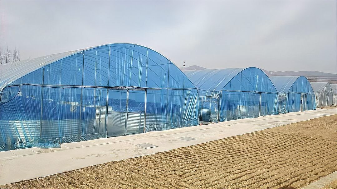 鄒城龍魚(yú)店|濟(jì)寧市鄒城市銘龍坊水族店