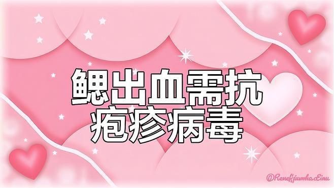 有哪些藥物可以有效治療魚鰓充血？，觀賞魚必備的八種魚藥以及相對應的疾病治療與使用放法