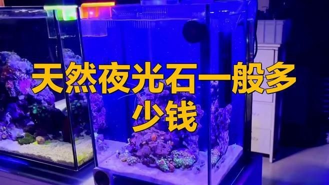 天然夜光石價格|天然夜光石價格一般多少錢