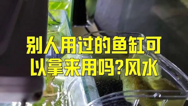 買二手魚缸有忌諱嗎|別人用過的魚缸可以拿來用嗎