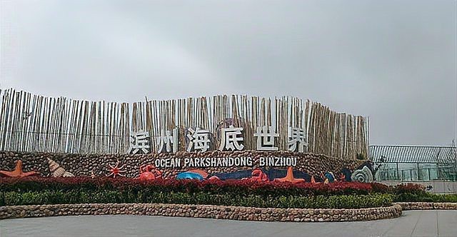 濱州水族店|濱州地區(qū)的水族店以豐富的觀賞魚(yú)資源和專(zhuān)業(yè)服務(wù)為特色 全國(guó)水族館企業(yè)名錄 第1張 濱州水族店|濱州地區(qū)的水族店以豐富的觀賞魚(yú)資源和專(zhuān)業(yè)服務(wù)為特色 濱州水族店|濱州地區(qū)的水族店以豐富的觀賞魚(yú)資源和專(zhuān)業(yè)服務(wù)為特色 全國(guó)水族館企業(yè)名錄 第1張