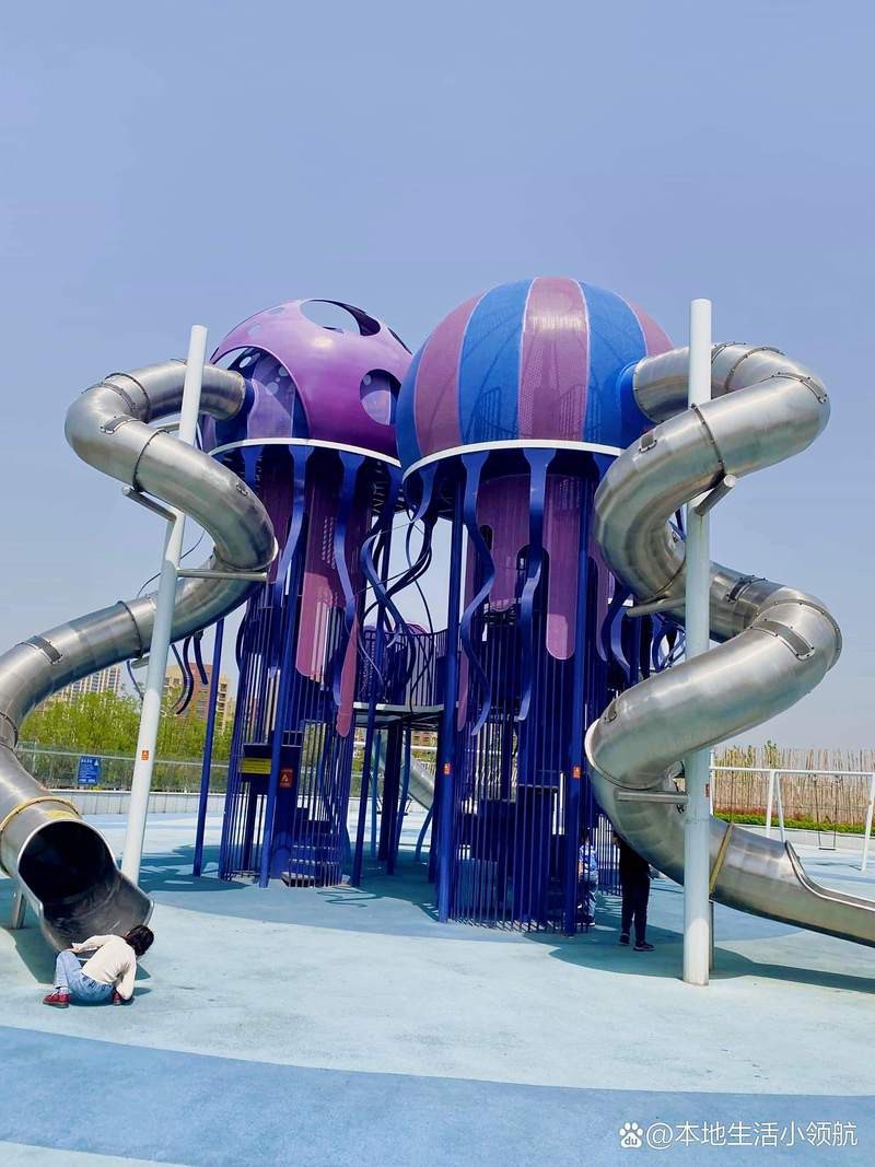 濱州水族店|濱州地區(qū)的水族店以豐富的觀賞魚(yú)資源和專(zhuān)業(yè)服務(wù)為特色 全國(guó)水族館企業(yè)名錄 第3張 濱州水族店|濱州地區(qū)的水族店以豐富的觀賞魚(yú)資源和專(zhuān)業(yè)服務(wù)為特色 濱州水族店|濱州地區(qū)的水族店以豐富的觀賞魚(yú)資源和專(zhuān)業(yè)服務(wù)為特色 全國(guó)水族館企業(yè)名錄 第3張