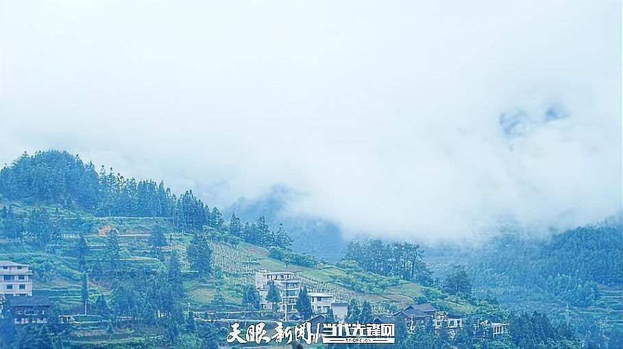 雷山龍魚店|人民網雷山龍魚店的營業時間是雷山龍魚店的具體位置在哪里 雷山龍魚店|人民網雷山龍魚店的營業時間是雷山龍魚店的具體位置在哪里 全國水族館企業名錄 第4張