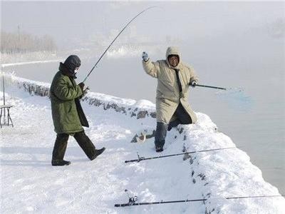 龍魚腸炎會自愈嗎