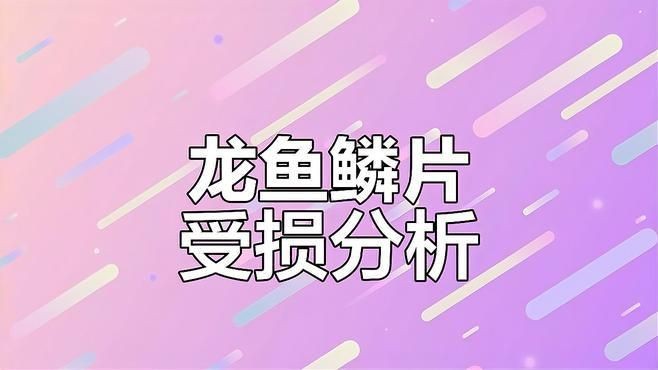 如何預防龍魚鱗片再次損傷？【第359話魚友案例分析龍魚鱗片受損原因及處理方法】