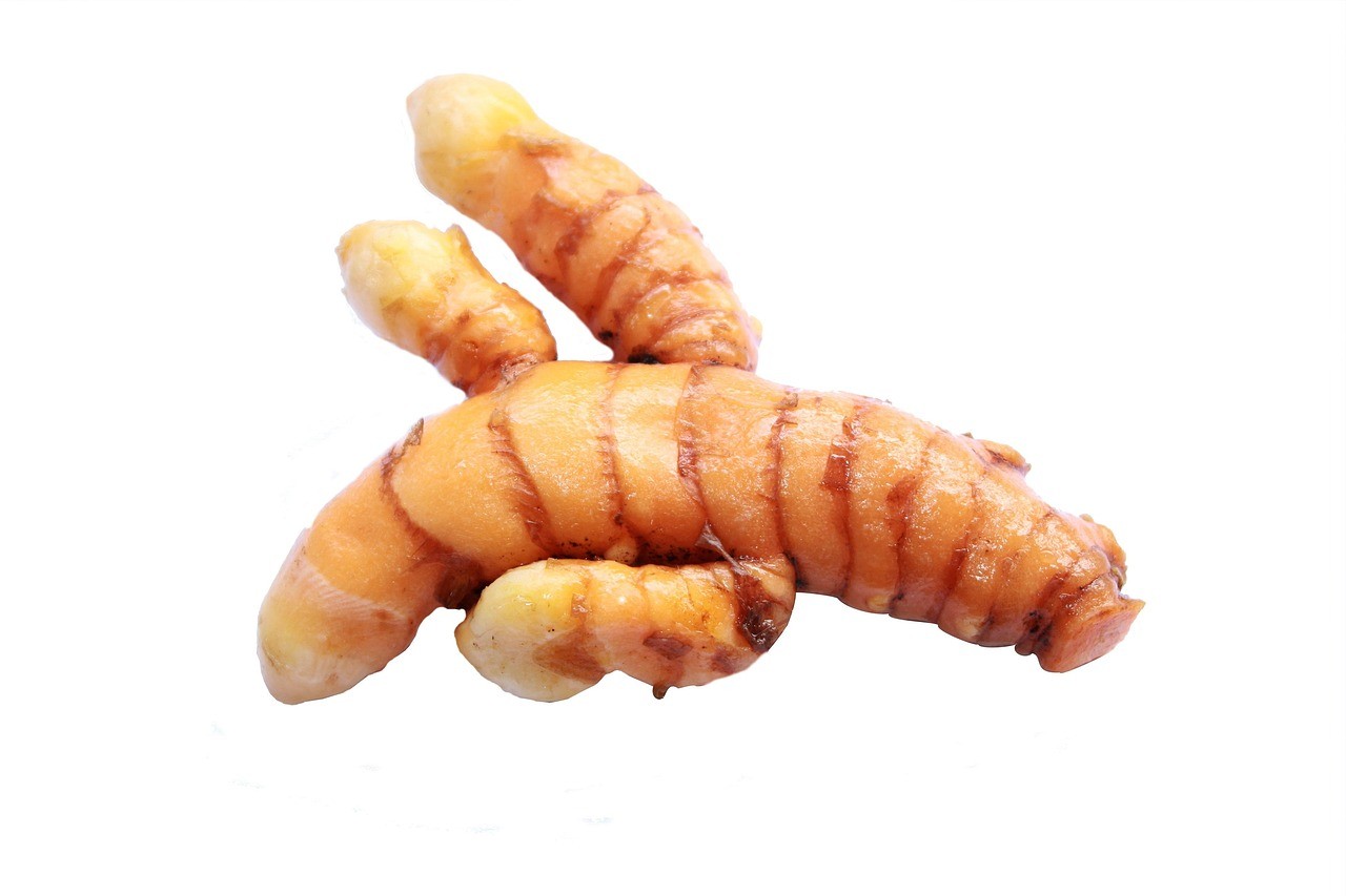 龍魚喂泥鰍好處和壞處|龍魚喂泥鰍好處和壞處和壞處和壞處和壞處和壞處
