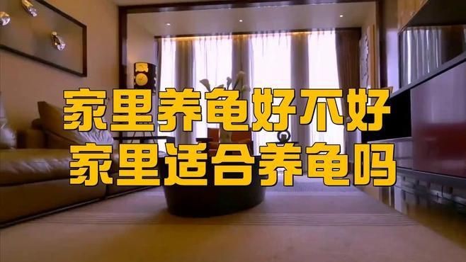 金龍魚寄生蟲感染會(huì)自愈嗎？|家里養(yǎng)龜好不好家里養(yǎng)龜好不好家里養(yǎng)龜好不好 金龍魚寄生蟲感染會(huì)自愈嗎？|家里養(yǎng)龜好不好家里養(yǎng)龜好不好家里養(yǎng)龜好不好 龍魚百科 第5張