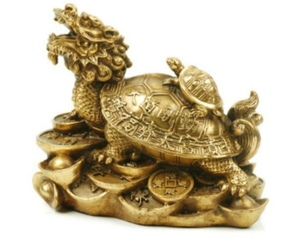 金龍魚寄生蟲感染會(huì)自愈嗎？|家里養(yǎng)龜好不好家里養(yǎng)龜好不好家里養(yǎng)龜好不好 金龍魚寄生蟲感染會(huì)自愈嗎？|家里養(yǎng)龜好不好家里養(yǎng)龜好不好家里養(yǎng)龜好不好 龍魚百科 第4張
