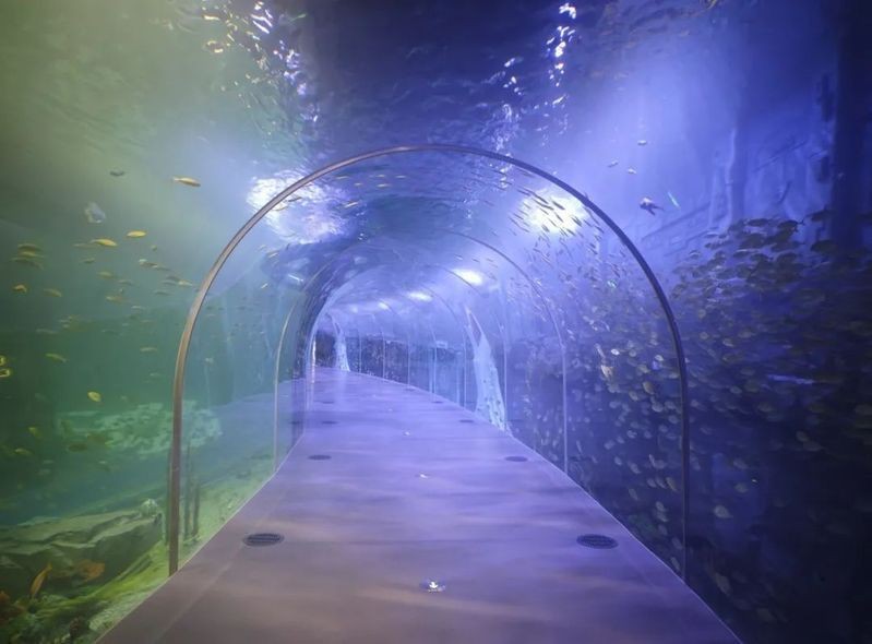 唐山水族館，唐山水族館游記