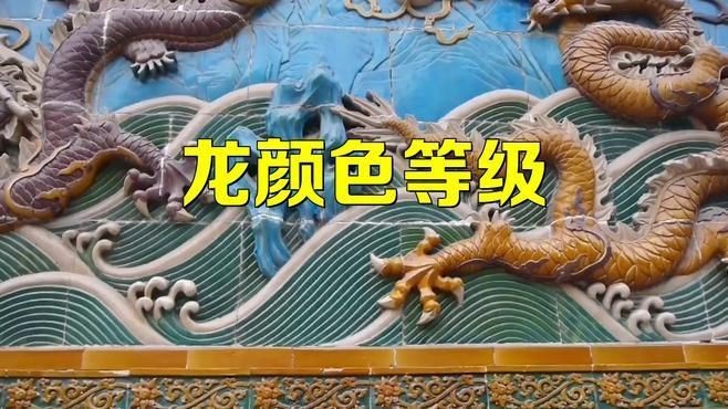 紅龍和青龍的區別|紅龍和青龍的區別在高端市場上，紅龍蝦的區別是什么