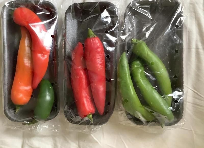 高端龍魚飼料購買渠道推薦（關(guān)于購買高端龍魚飼料的問題）