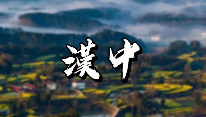 漢南龍魚店|武漢漢南區龍魚店有哪些品種如何聯系漢南區的龍魚店 漢南龍魚店|武漢漢南區龍魚店有哪些品種如何聯系漢南區的龍魚店 全國水族館企業名錄 第1張
