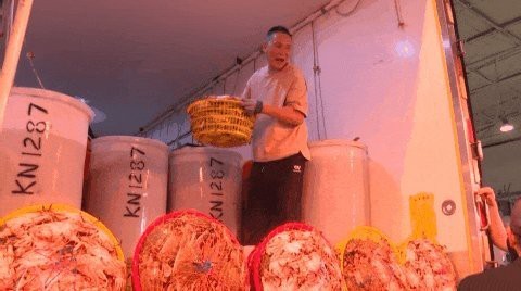 蒼南龍魚店|浙江溫州蒼南縣的龍魚店 蒼南龍魚店|浙江溫州蒼南縣的龍魚店 全國水族館企業名錄 第2張