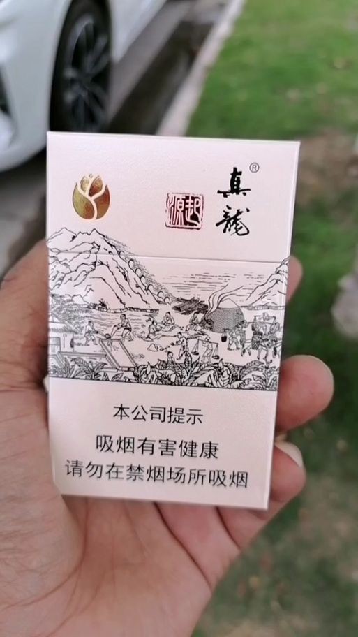 廣西白龍煙圖片|白龍煙即真龍（起源）金茶花版