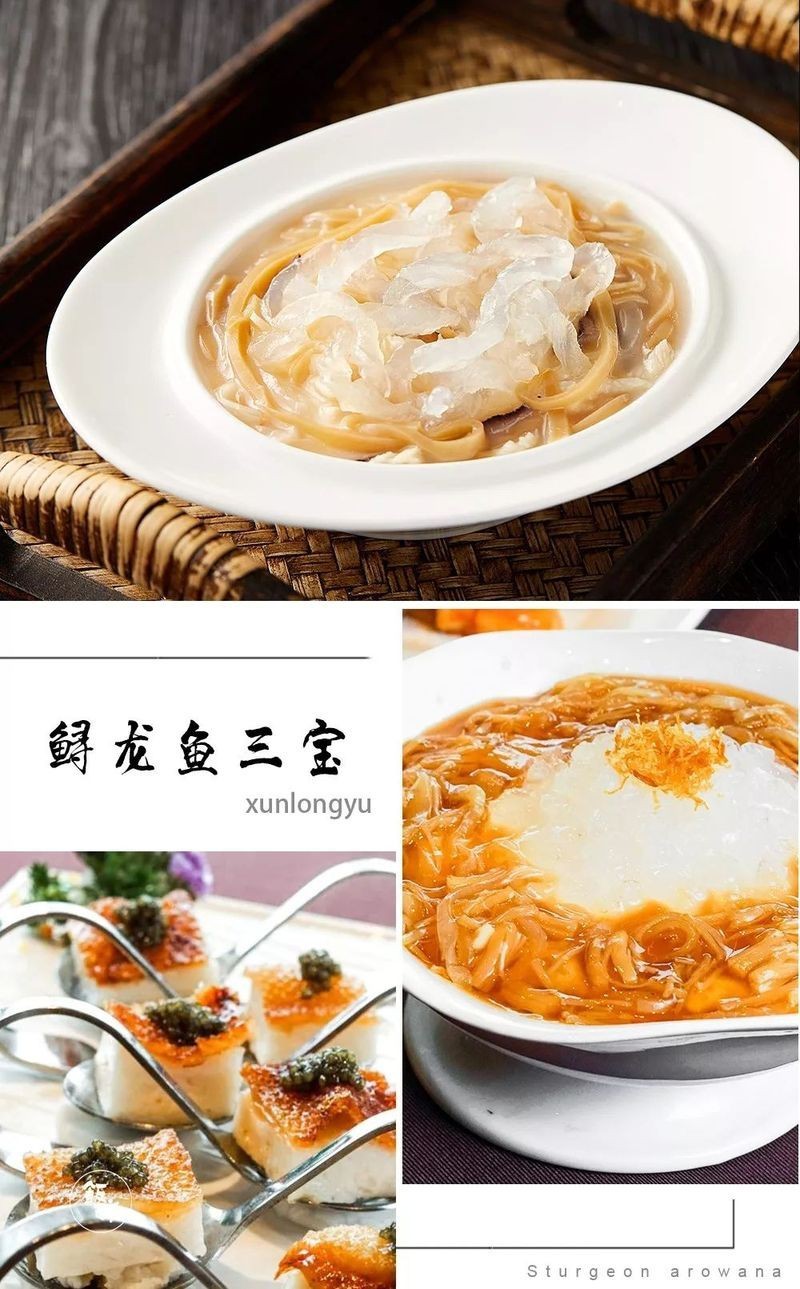 珠海龍魚店|在珠海也能吃到的國宴級“鱘龍魚宴”
