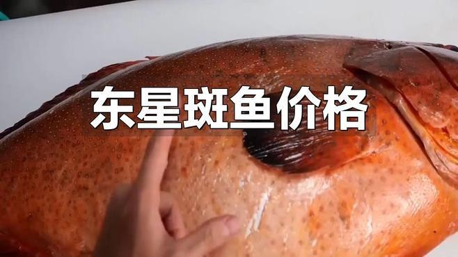 東星斑貴還是紅星斑貴，東星斑與紅星斑哪個貴時訊流星錘哪個貴時訊流星錘