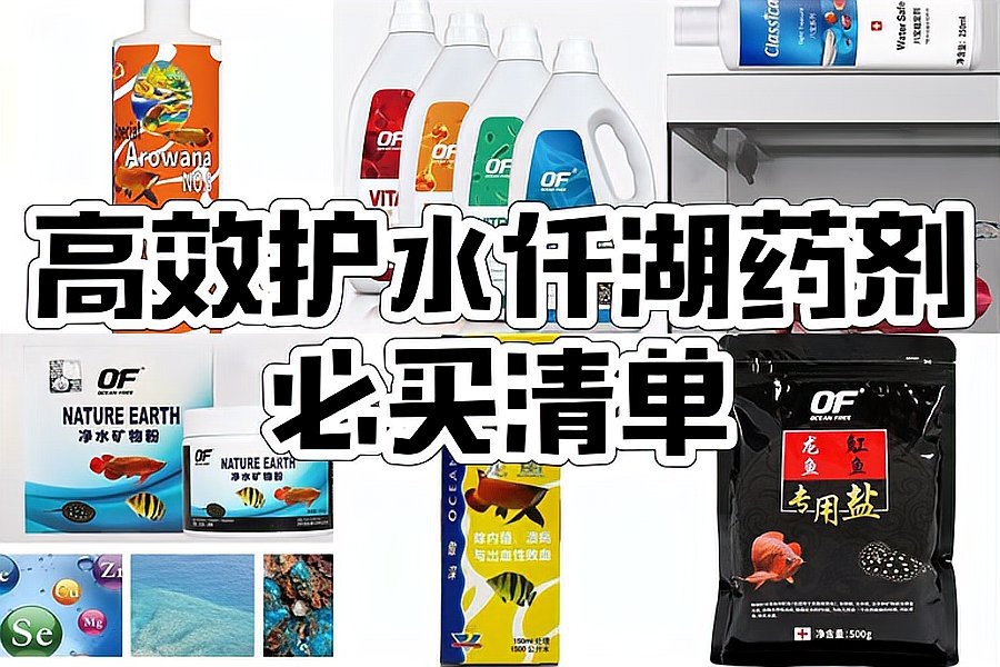 有哪些龍魚專用營養劑推薦？|智能模式回答完成調用工具：百度健康