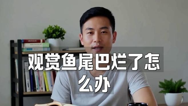 如何判斷魚尾巴充血爛尾是否好轉？|智能模式回答完成百度健康判斷魚尾巴充血爛尾是否好轉