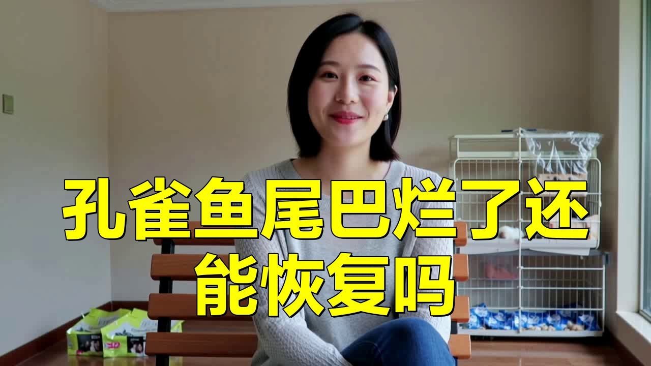 如何判斷魚尾巴充血爛尾是否好轉？|智能模式回答完成百度健康判斷魚尾巴充血爛尾是否好轉