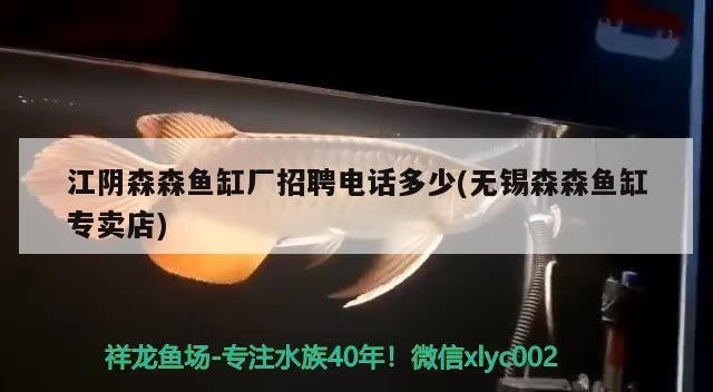 青陽龍魚店|青陽地區與龍魚相關的商業信息
