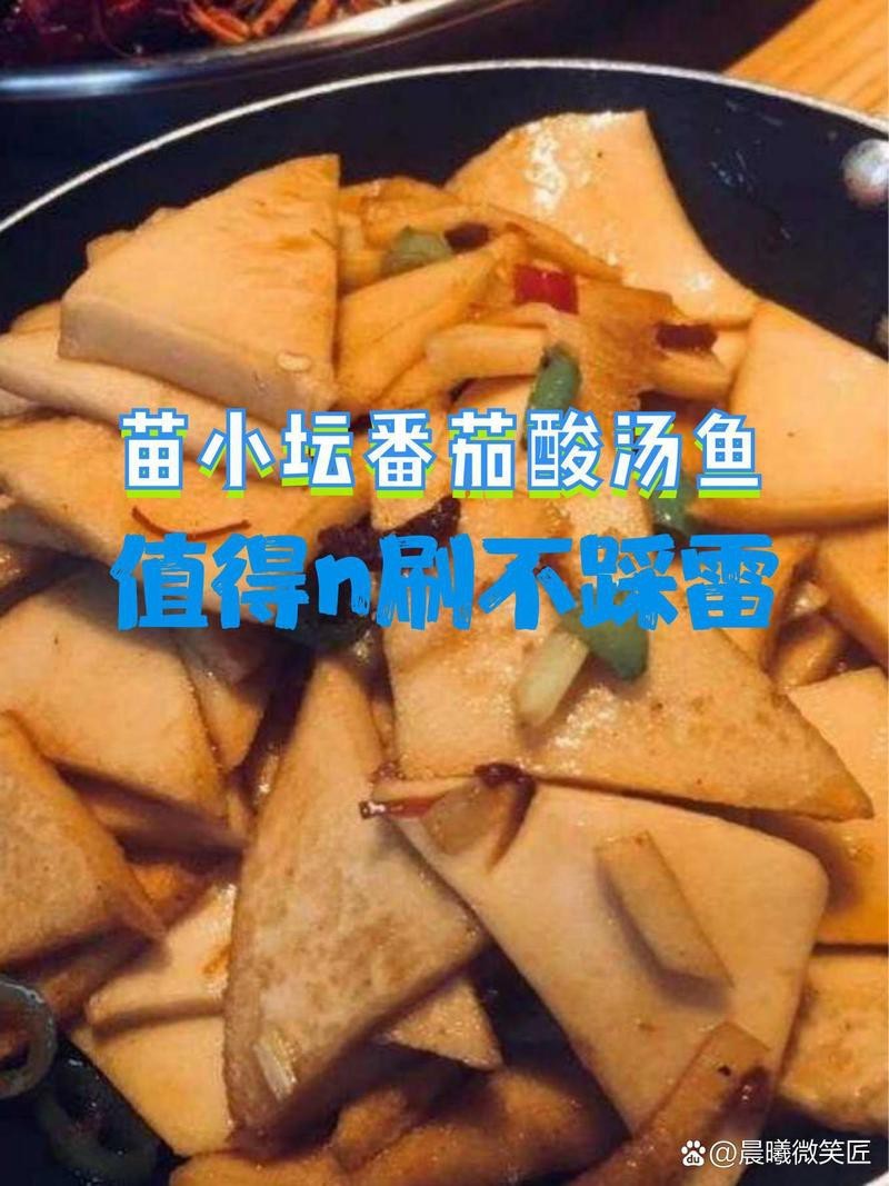 青陽龍魚店|青陽地區與龍魚相關的商業信息
