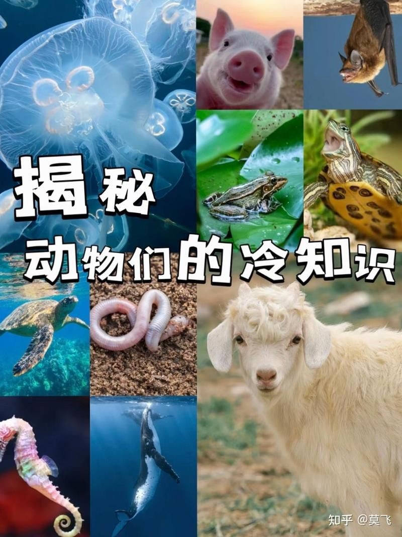 金老虎的壽命最長能活多少年|關于金老虎（通常指金色虎或孟加拉虎的變種）的變種